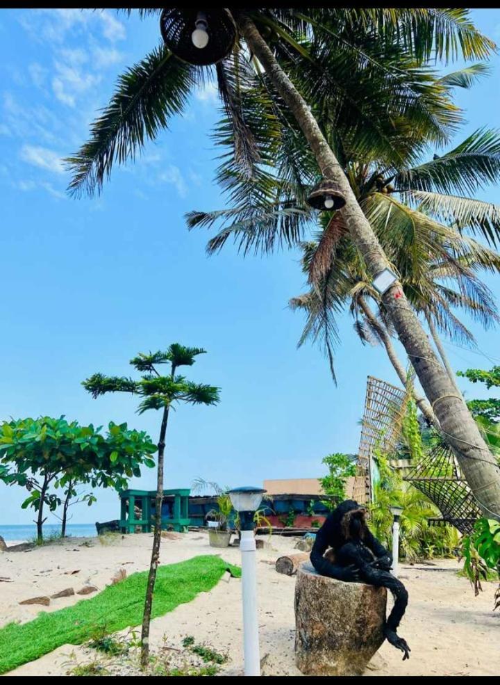 Alivious Beach Homestay アーラップーザ県 エクステリア 写真